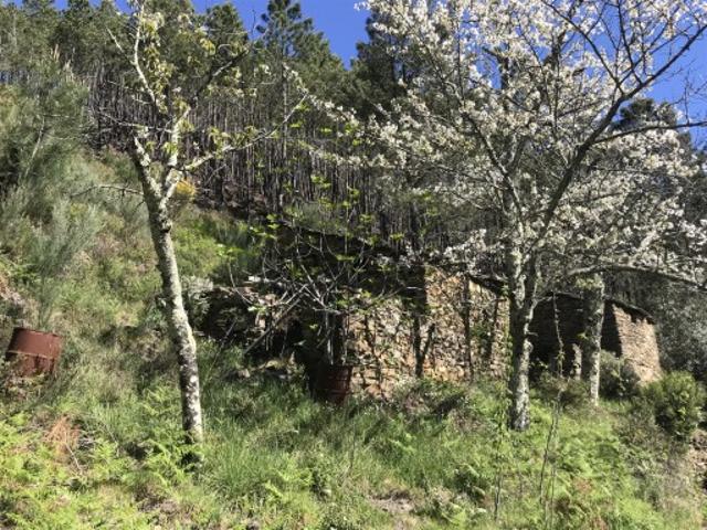 Casa venda em Guarda, Seia
