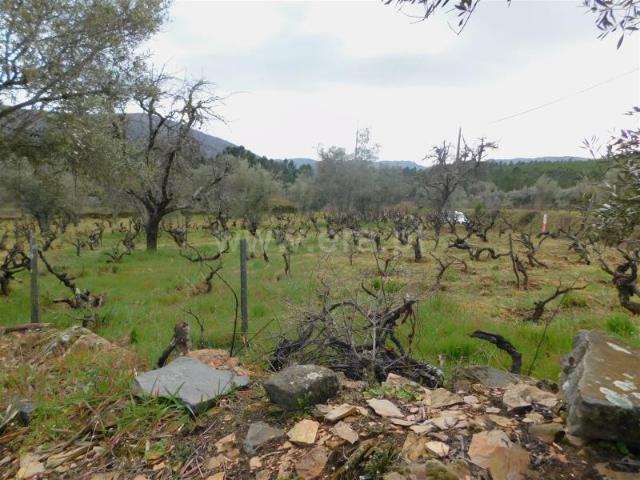 Quinta venda em Covilhã