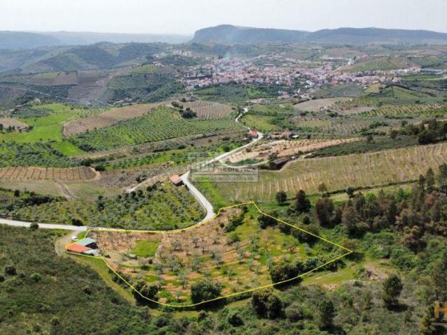 Quinta venda em Freixo Espada À Cinta, Bragança