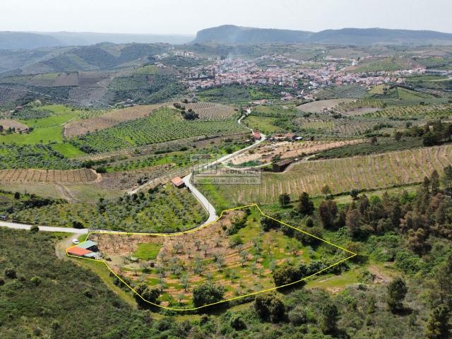 Quinta venda em Freixo Espada À Cinta, Bragança