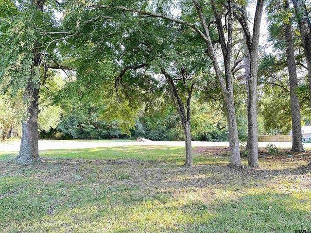 Land for sale in Camp, Texas