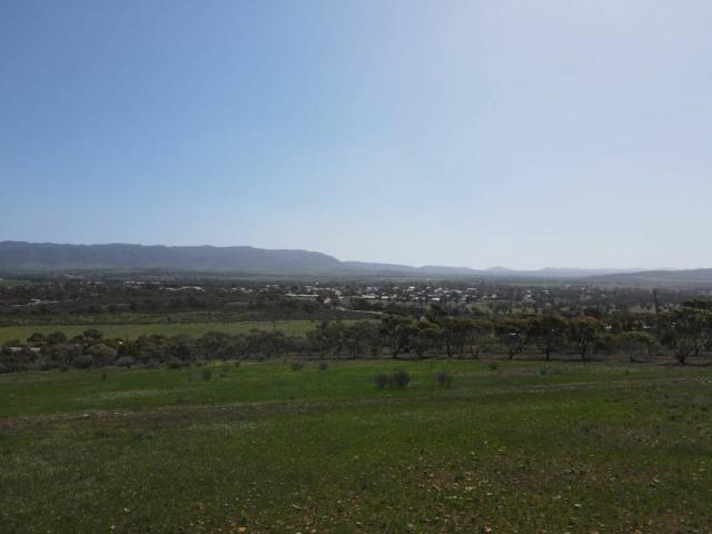 Land for sale in Quorn, South Australia