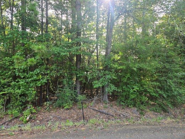 Land for sale in Sabine, Texas