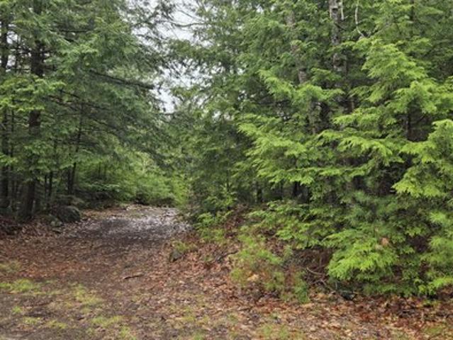 Land for sale in Paris, Maine