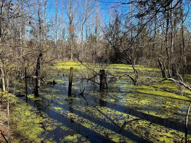 Land for sale in Panola, Texas