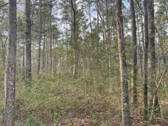 Land for sale in Huntington, Texas