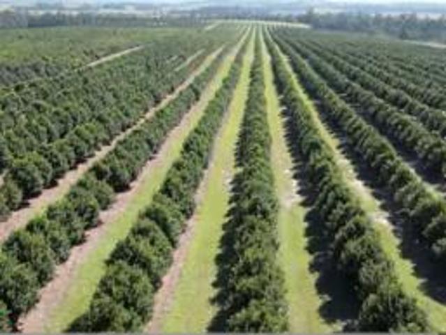 Commercial for sale in Ugu District Municipality, Kwazulu-natal