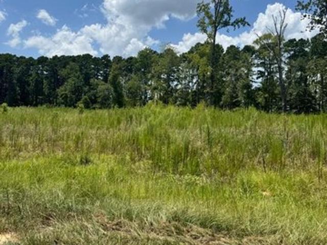 Land for sale in San Augustine, Texas