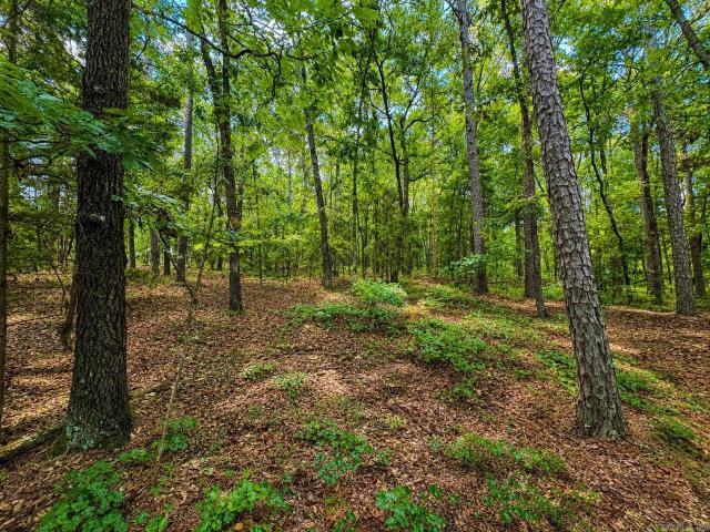 Land for sale in Ark