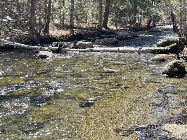 Land for sale in New Vineyard, Maine