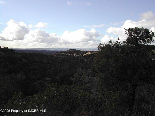 Land for sale in Aztec, New Mexico