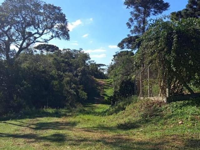Terreno venda em Região Geográfica Imediata de Curitiba, Região Metropolitana de Curitiba