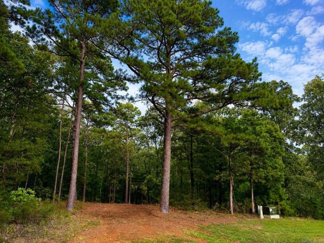 Land for sale in Ark