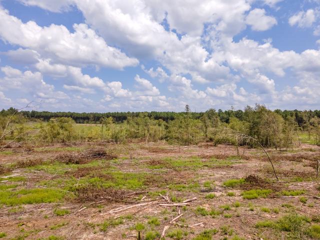 Land for sale in Apple Springs, Texas