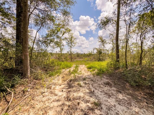 Land for sale in Apple Springs, Texas