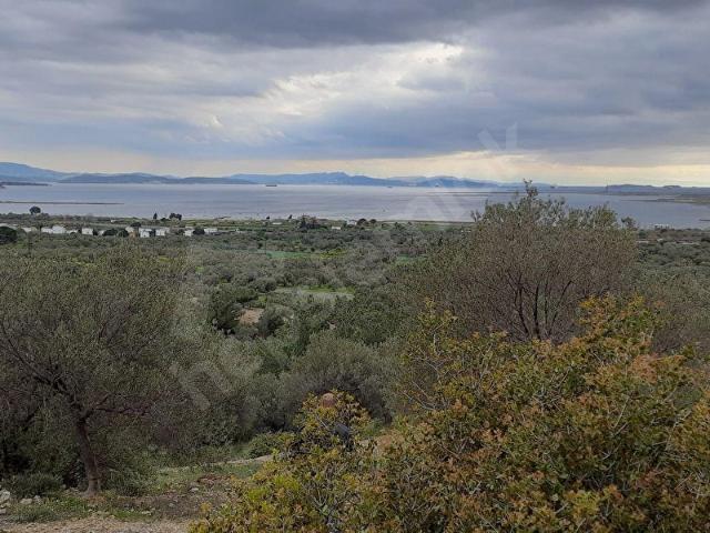 Bergama, İzmir içerisinde satılık mülk