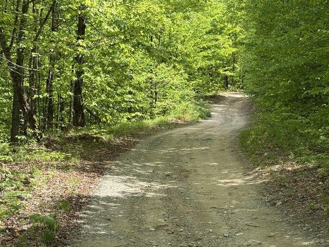 Land for sale in Maine