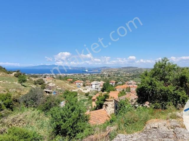 Foça, İzmir içerisinde kiralık Bahce kati