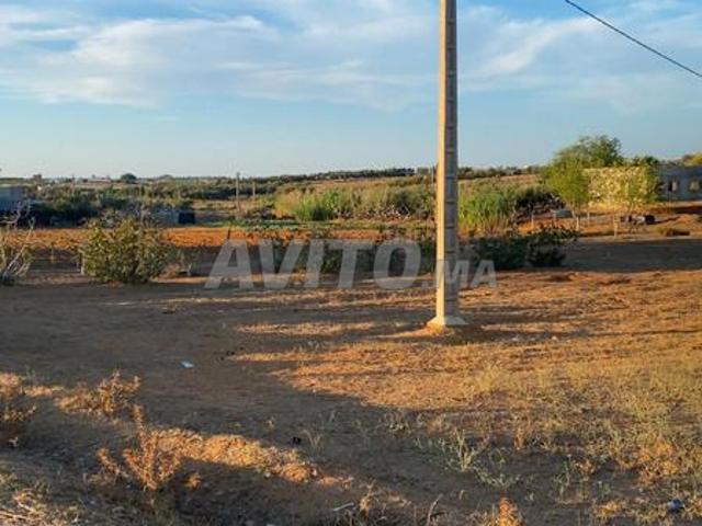 Propriété vente à Salé