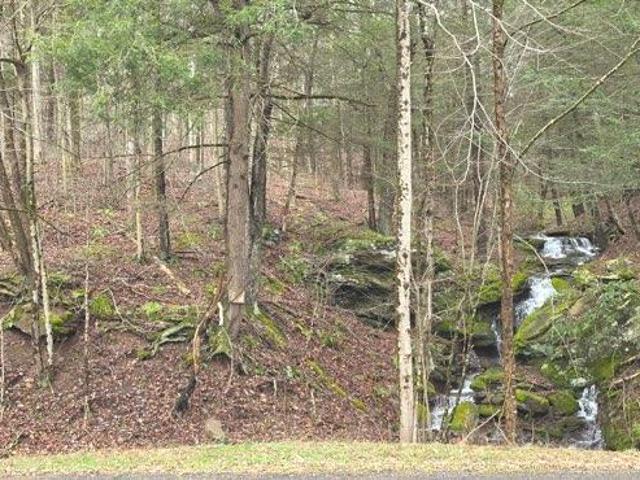 Land for sale in Lycoming, Pennsylvania