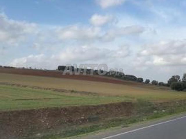 Propriété vente à Lyautey