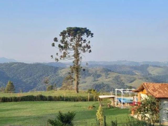 Terreno venda em Vila Darcy Penteado, São Roque