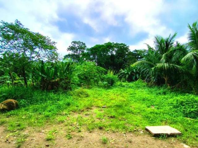 Terreno venda em Maresias, São Sebastião