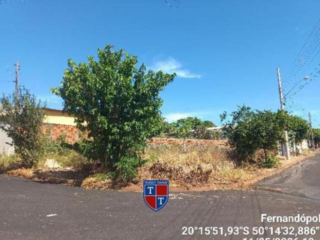 Terreno venda em Fernandópolis