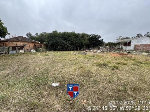 Terreno venda em Capão do Leão