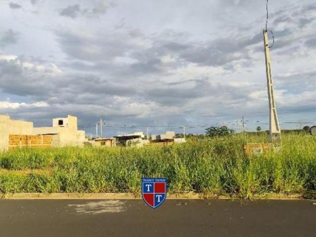 Terreno venda em Votuporanga