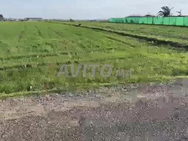 Propriété vente à Salé