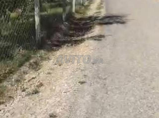 Propriété vente à Lyautey