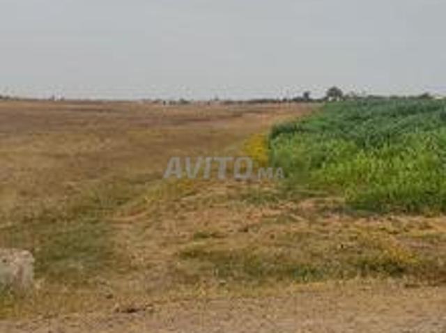 Propriété vente à Sidi Allal El Bahraoui