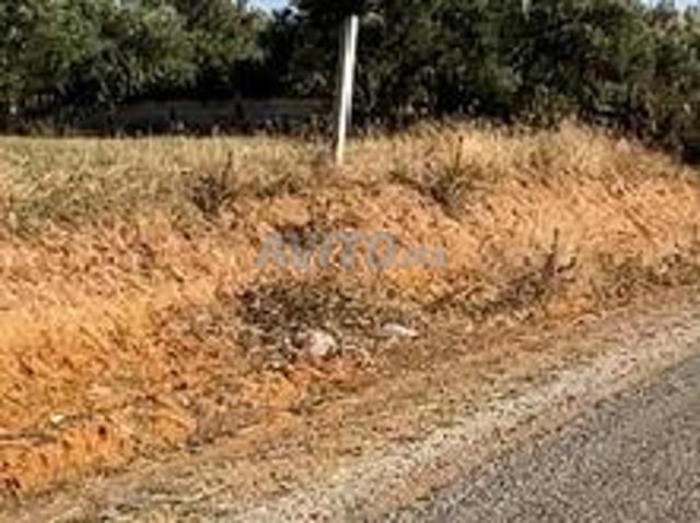 Propriété vente à Lyautey
