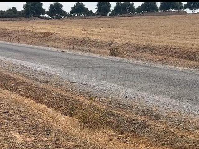 Propriété vente à Sidi Allal El Bahraoui