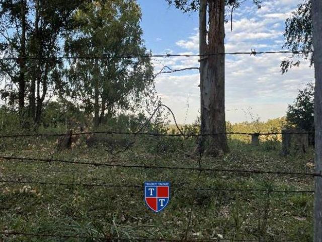 Terreno venda em Sede, Eldorado do Sul