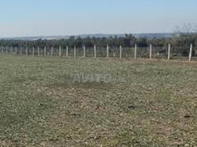 Propriété vente à Sidi Allal El Bahraoui