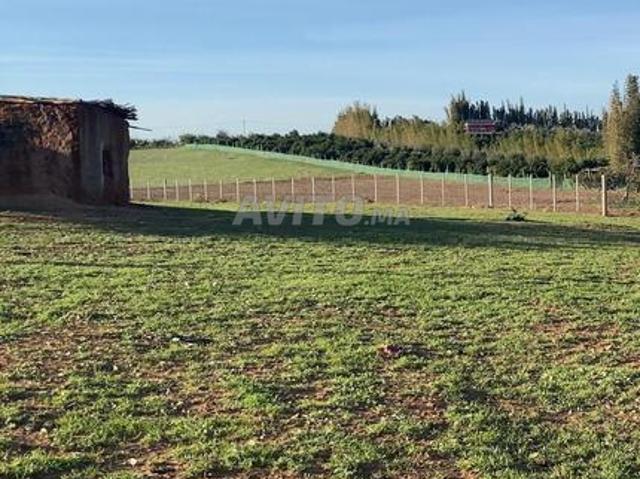 Propriété vente à Lyautey