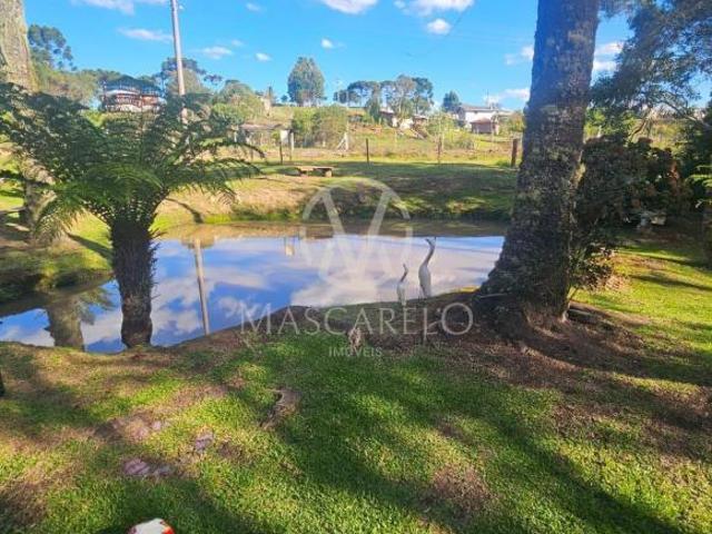 Sítio e chácara venda em Vila Seca, Caxias do Sul