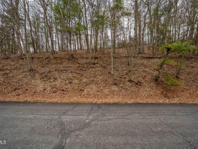 Land for sale in Mountain City, East Tennessee