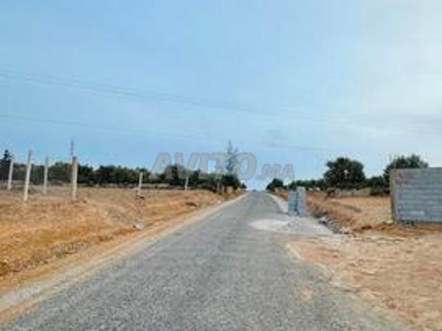 Propriété vente à Sidi Allal El Bahraoui