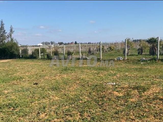 Propriété vente à Salé