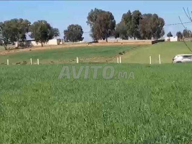 Propriété vente à Sidi Allal El Bahraoui