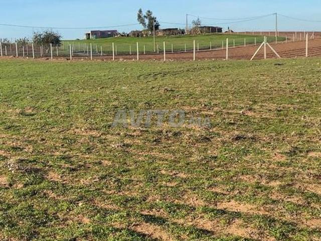 Propriété vente à Sidi Allal El Bahraoui