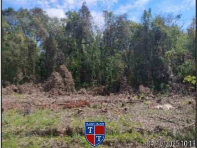 Apartamento venda em Arvorezinha