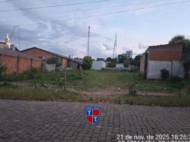 Terreno venda em Scorsatto, Arvorezinha