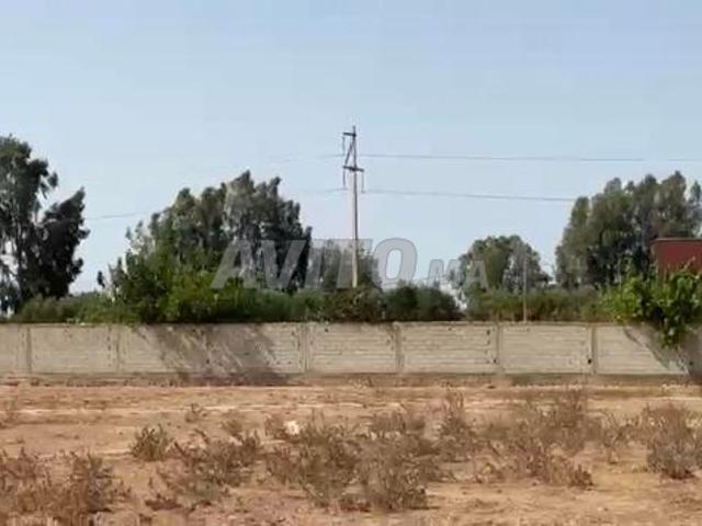 Propriété vente à Sidi Allal El Bahraoui