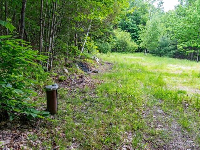 Land for sale in Hiram, Maine