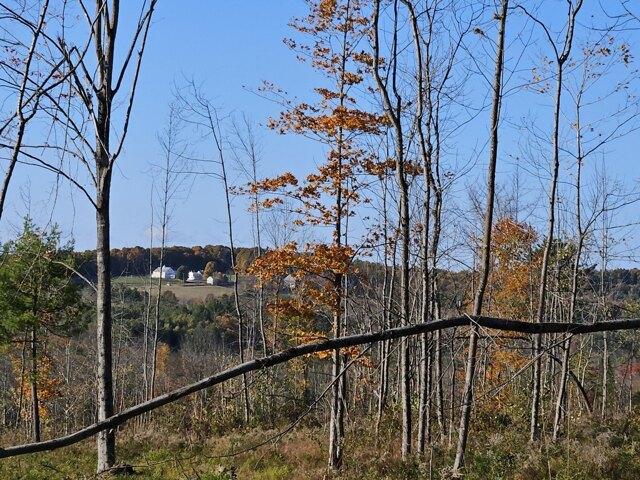 Land for sale in Farmington, Maine