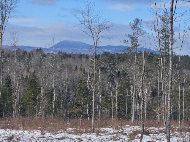 Land for sale in Farmington, Maine